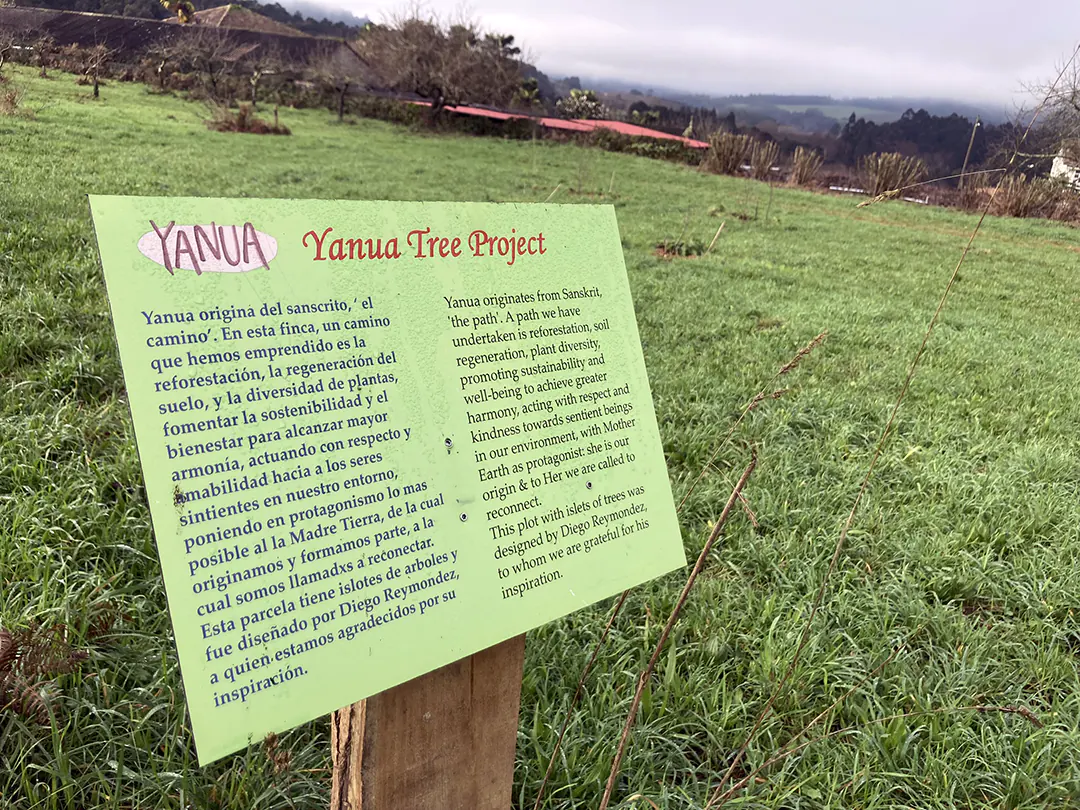 Yanua Tree Project